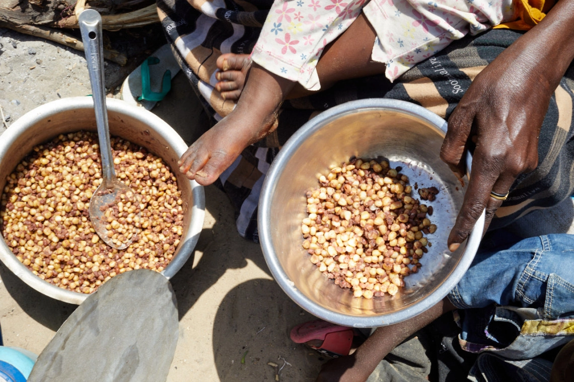 Food Security in Africa: The Case of the Democratic Republic of Congo hero image